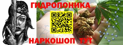 крисы Бузулук
