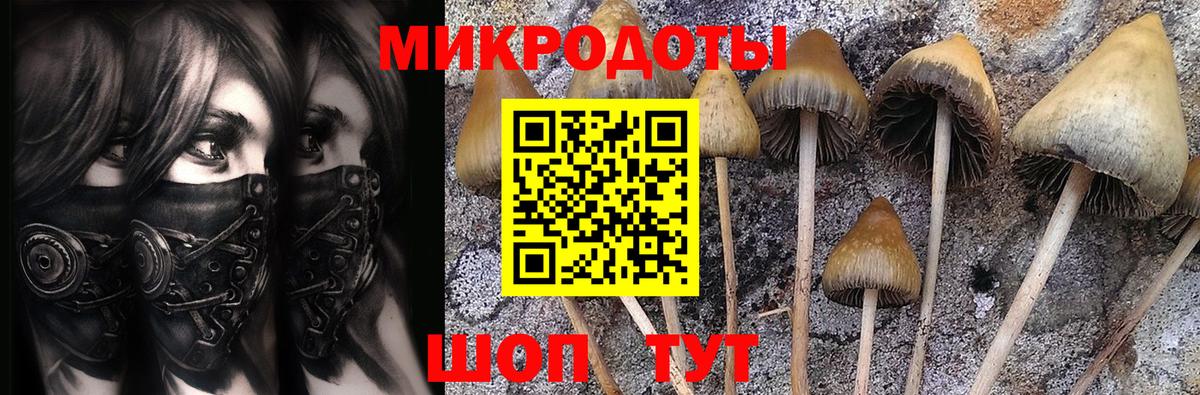 Михайловск  Псилоцибиновые грибы ЛСД  купить наркотик  Вход с VPN 