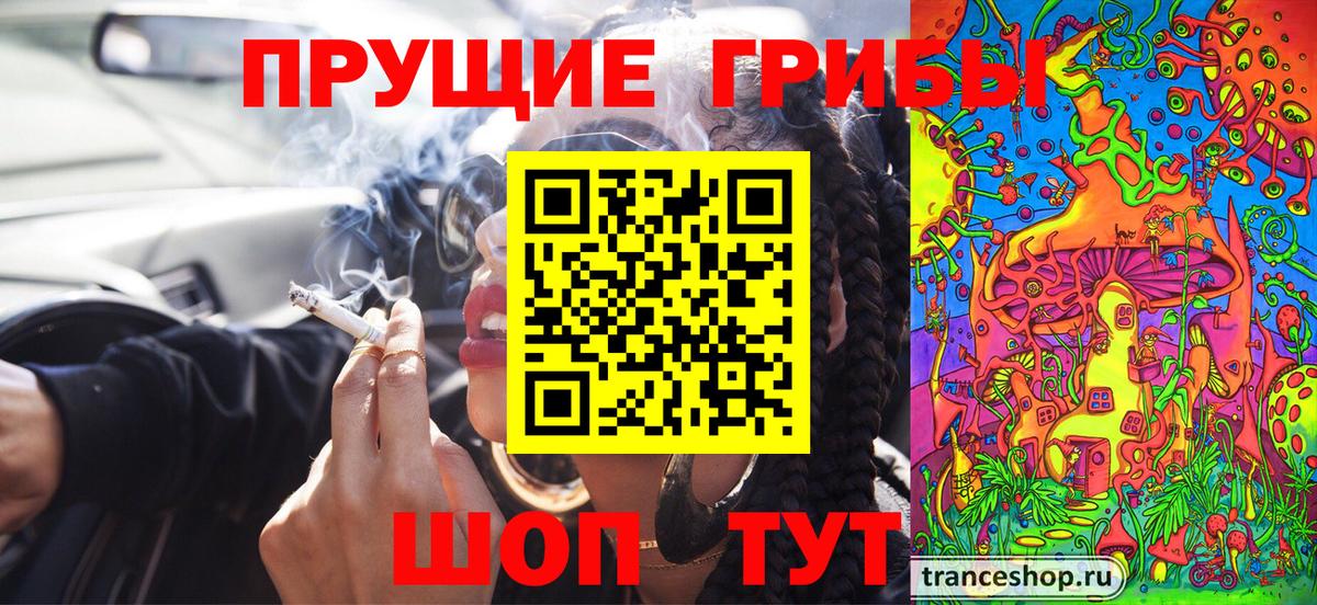 Псилоцибиновые грибы ЛСД Михайловск